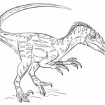 Raskrasil.com-Velociraptor-Coloring-Pages-6