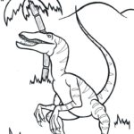Raskrasil.com-Velociraptor-Coloring-Pages-63