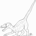 Raskrasil.com-Velociraptor-Coloring-Pages-64