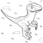 Raskrasil.com-Velociraptor-Coloring-Pages-82