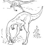 Raskrasil.com-Velociraptor-Coloring-Pages-85