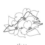 Raskrasil.com-Virginia-Coloring-Pages-18