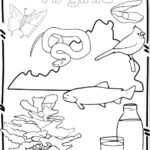 Raskrasil.com-Virginia-Coloring-Pages-22