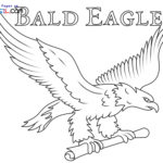 Raskrasil.com-Bald-Eagle-New-Coloring-Pages-1