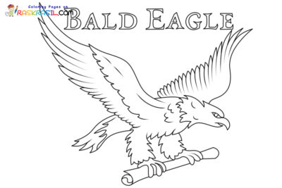 Bald Eagle Coloring Pages
