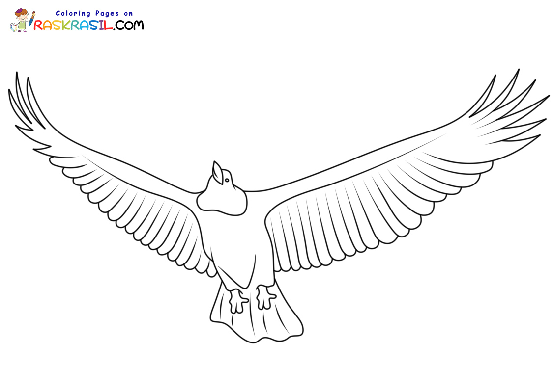 Raskrasil.com-Bald-Eagle-New-Coloring-Pages-10