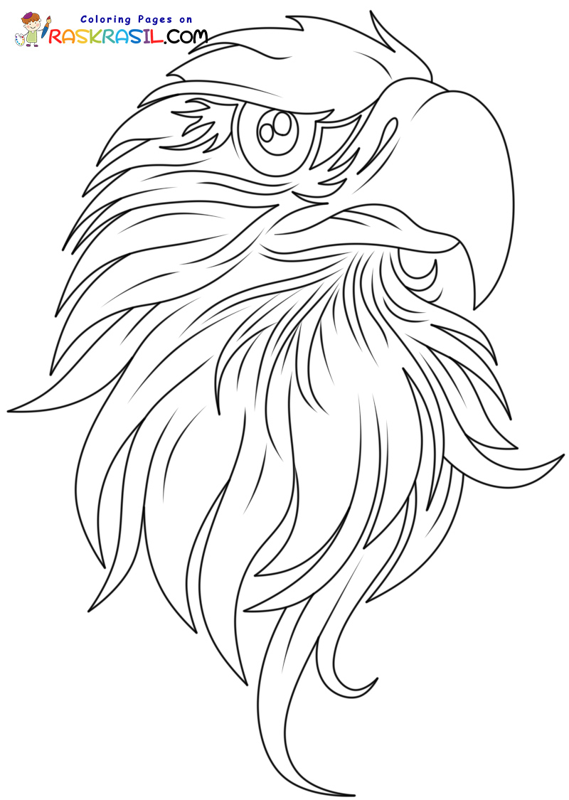 Raskrasil.com-Bald-Eagle-New-Coloring-Pages-2
