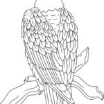 Raskrasil.com-Bald-Eagle-New-Coloring-Pages-3