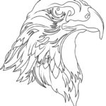 Raskrasil.com-Bald-Eagle-New-Coloring-Pages-4