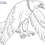 Raskrasil.com-Bald-Eagle-New-Coloring-Pages-9