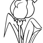 Raskrasil.com-Kleurplaten-Nederland-94