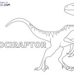 Raskrasil.com-Velociraptor-New-Coloring-Pages-1