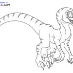 Raskrasil.com-Velociraptor-New-Coloring-Pages-10
