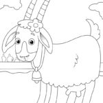 Raskrasil.com-Zoo-New-Coloring-Pages-3