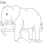 Raskrasil.com-Zoo-New-Coloring-Pages-9
