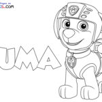 Raskrasil.com-Zuma-Paw-Patrol-New-Coloring-Pages-1