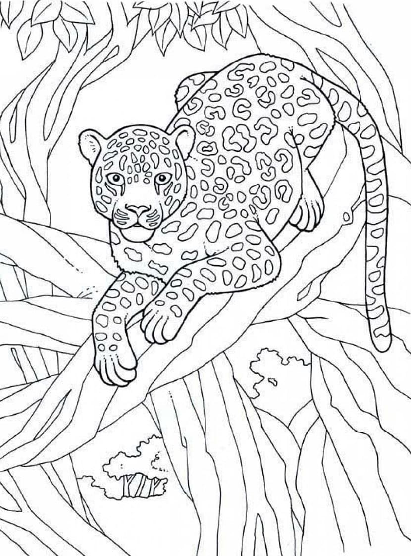 Raskrasil.com-Coloring-Pages-Africa-24