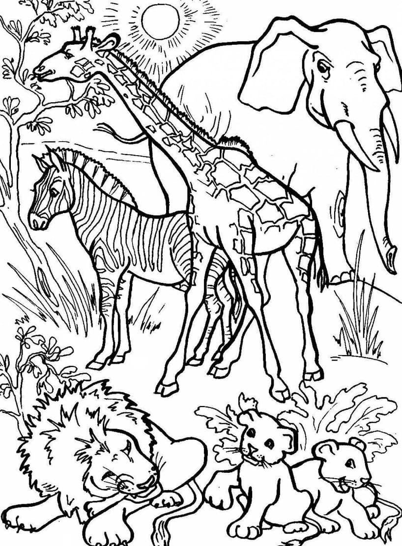 Raskrasil.com-Coloring-Pages-Africa-35