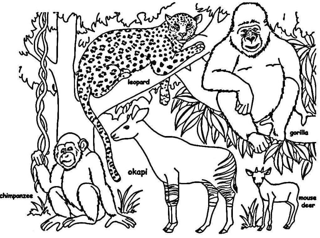 Raskrasil.com-Coloring-Pages-Africa-46