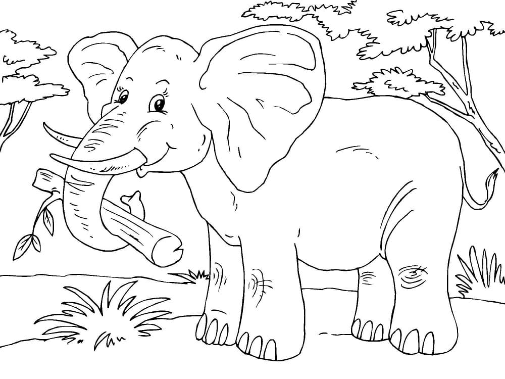Raskrasil.com-Coloring-Pages-Africa-55