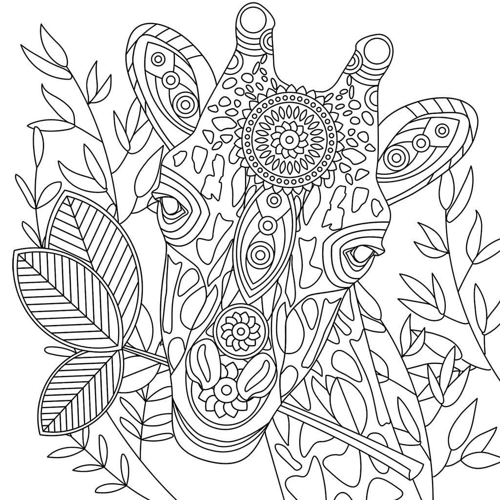 Raskrasil.com-Coloring-Pages-Africa-58
