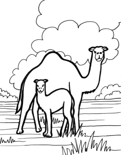Dibujos de África para Colorear