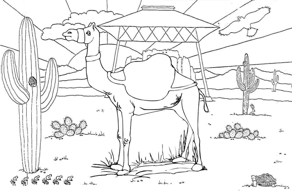 Raskrasil.com-Coloring-Pages-Africa-80