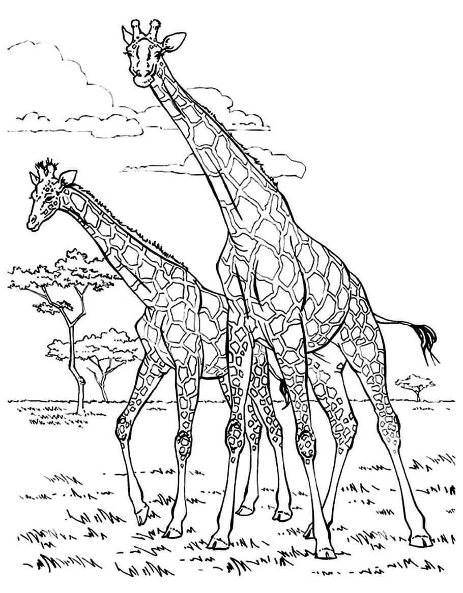 Raskrasil.com-Coloring-Pages-Africa-82