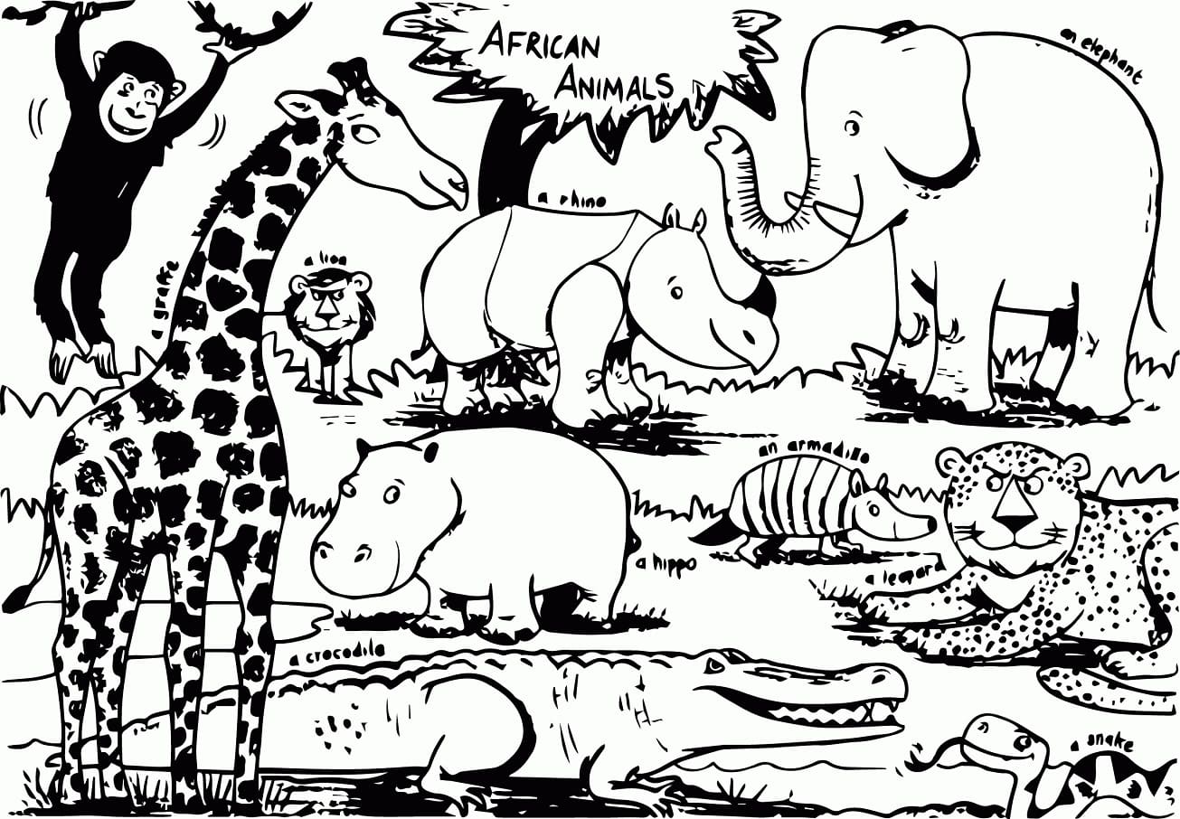 Raskrasil.com-Coloring-Pages-Africa-94