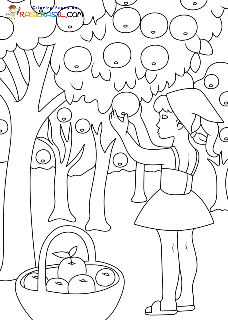 Raskrasil.com-Harvest-New-Coloring-Pages-3