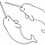 Raskrasil.com-Narwhal-Coloring-Pages-14