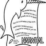 Raskrasil.com-Narwhal-Coloring-Pages-28