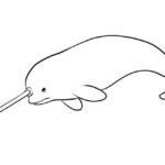 Raskrasil.com-Narwhal-Coloring-Pages-38