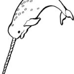 Raskrasil.com-Narwhal-Coloring-Pages-42