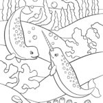 Raskrasil.com-Narwhal-Coloring-Pages-51