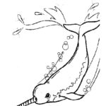 Raskrasil.com-Narwhal-Coloring-Pages-57