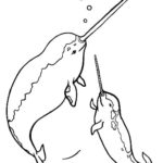 Raskrasil.com-Narwhal-Coloring-Pages-6