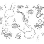 Raskrasil.com-Narwhal-Coloring-Pages-73