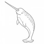 Raskrasil.com-Narwhal-Coloring-Pages-9