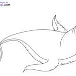 Raskrasil.com-Narwhal-New-Coloring-Pages-9
