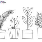 Raskrasil.com-Plants-New-Coloring-Pages-1