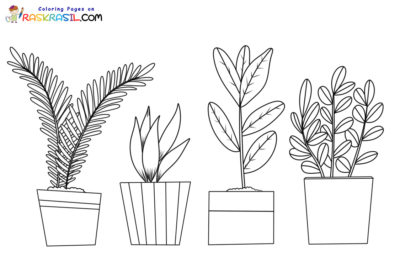 Plants Coloring Pages