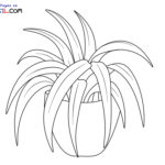 Raskrasil.com-Plants-New-Coloring-Pages-10