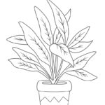 Raskrasil.com-Plants-New-Coloring-Pages-3