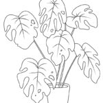 Raskrasil.com-Plants-New-Coloring-Pages-4