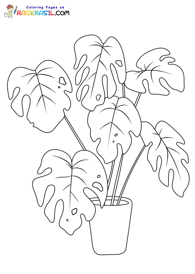 Raskrasil.com-Plants-New-Coloring-Pages-4