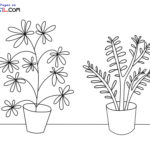 Raskrasil.com-Plants-New-Coloring-Pages-6