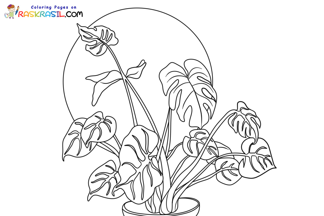 Raskrasil.com-Plants-New-Coloring-Pages-7