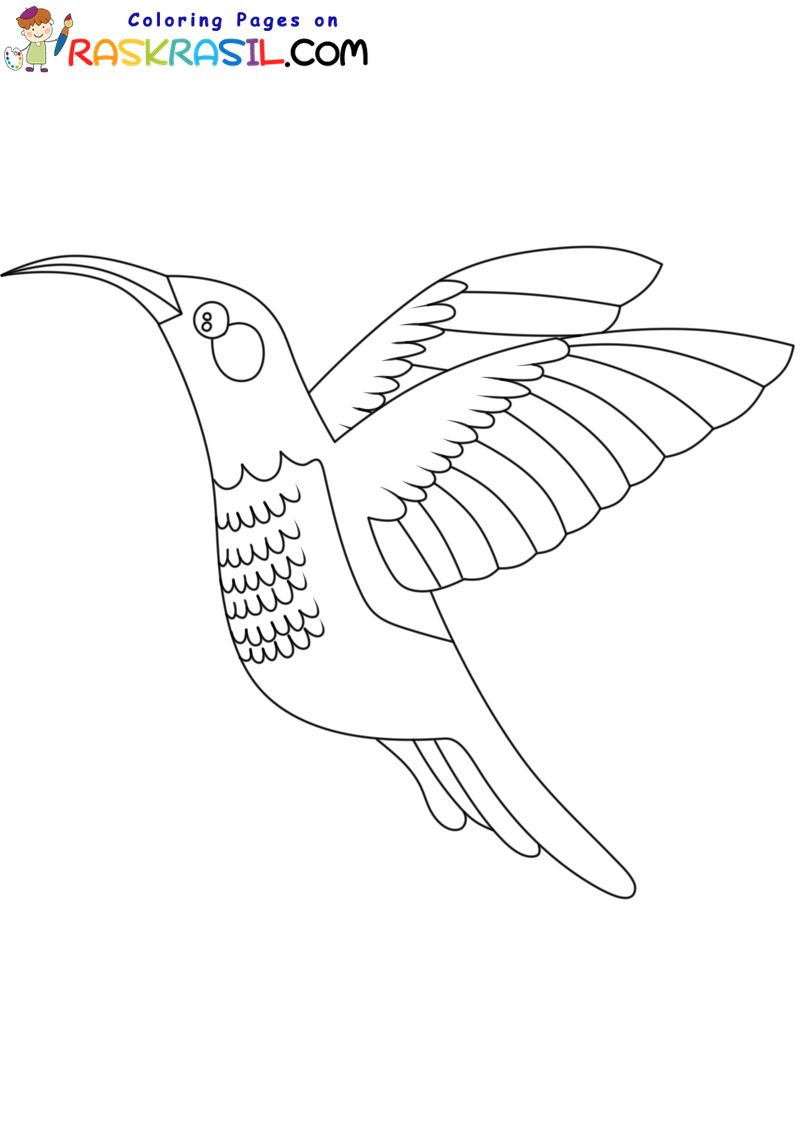 Raskrasil.com-Hummingbird-New-Coloring-Pages-4