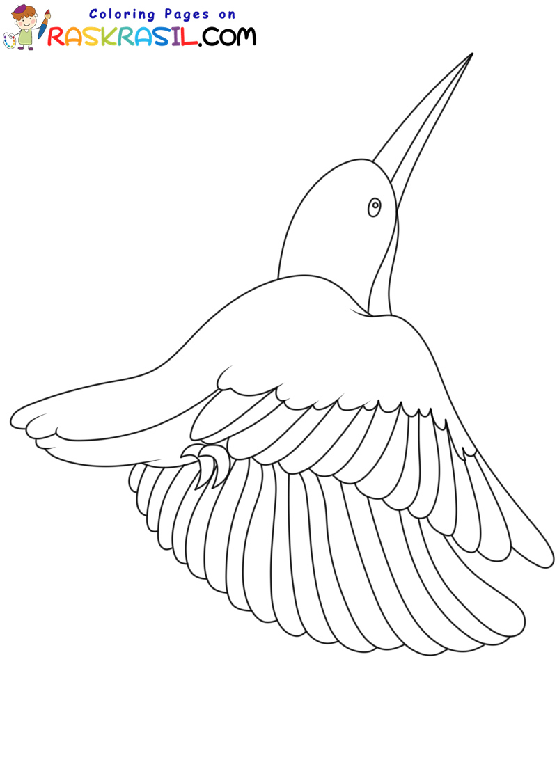Raskrasil.com-Hummingbird-New-Coloring-Pages-5